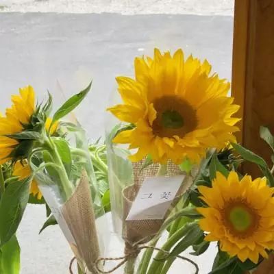 大发彩票官方官方平台app手机app下载